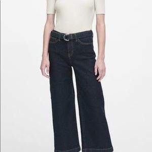 Banana Republic High Rise Wide Leg Crop